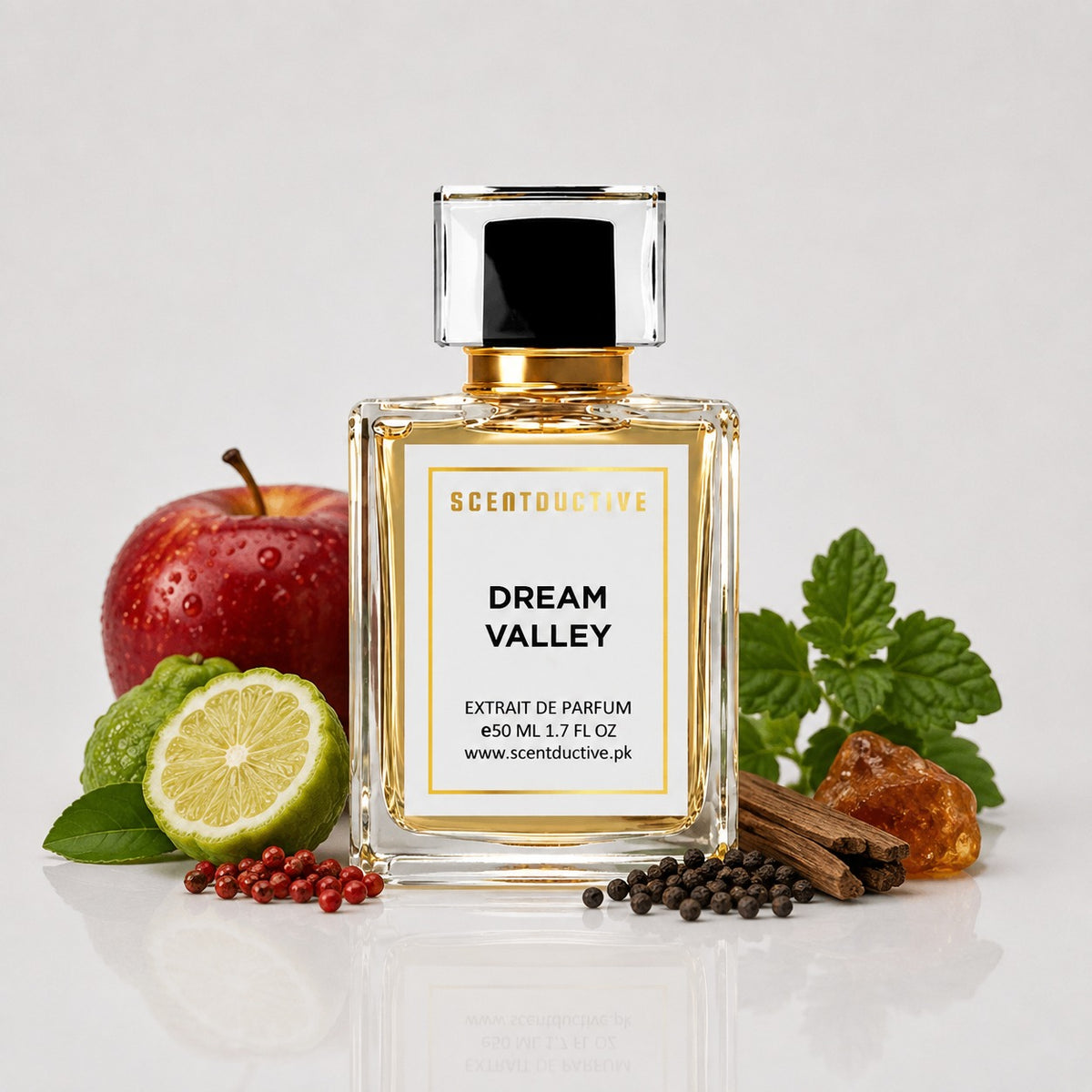 Dream Valley