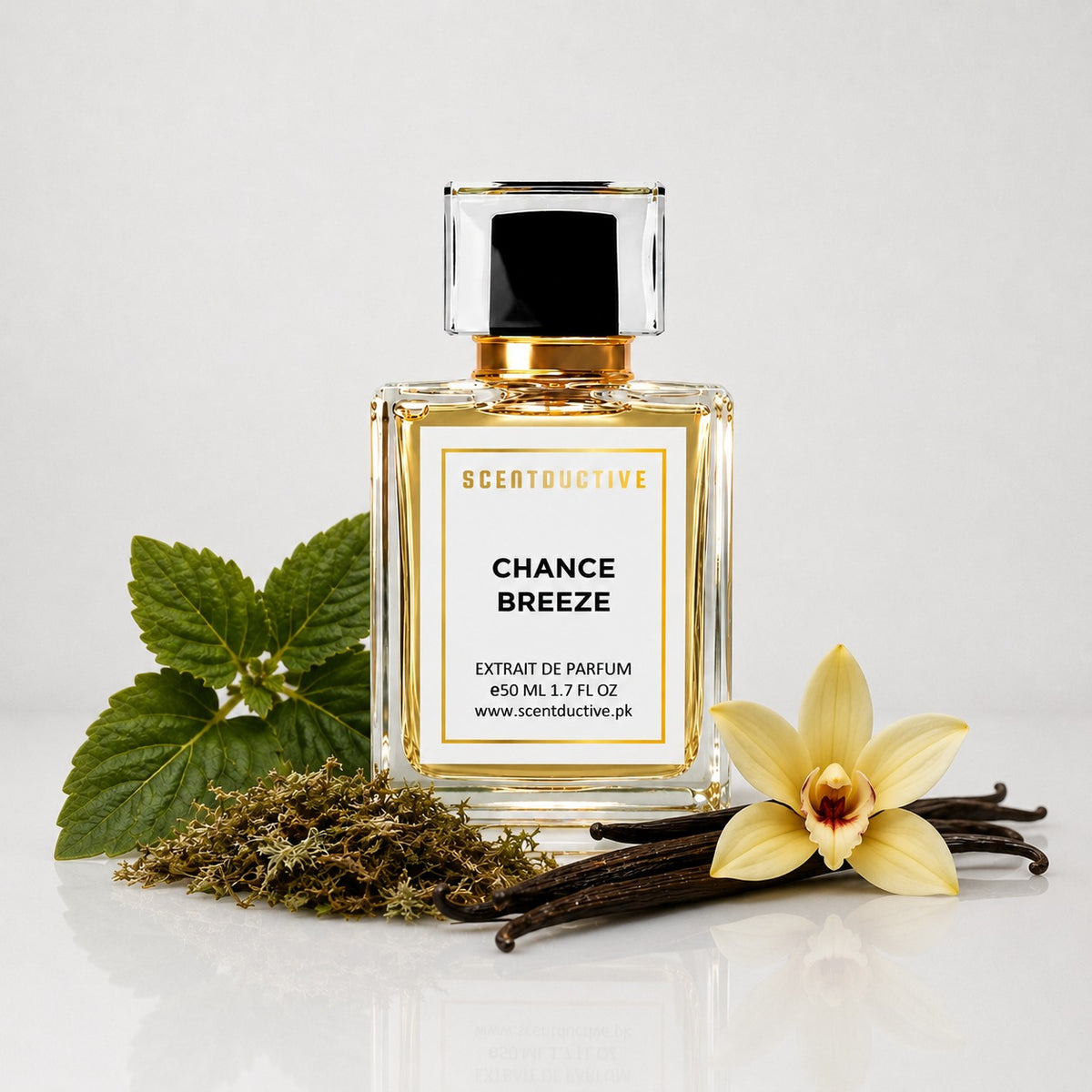 Chance Breeze
